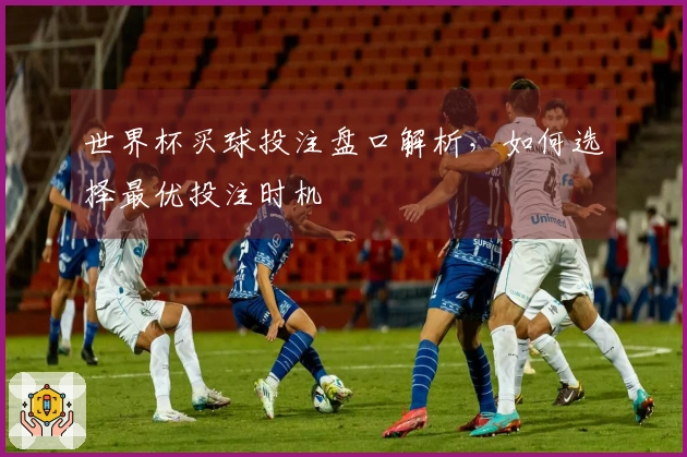 世界杯买球投注盘口解析，如何选择最优投注时机