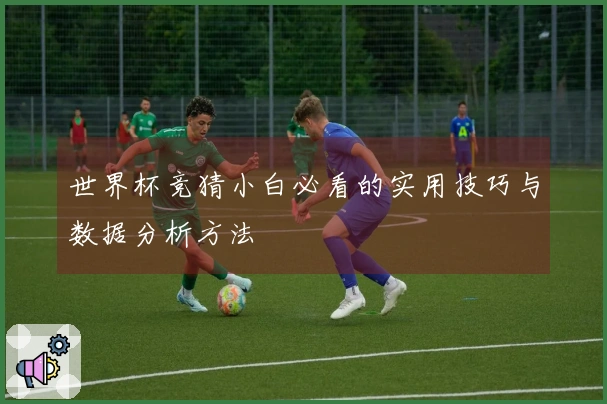世界杯竞猜小白必看的实用技巧与数据分析方法