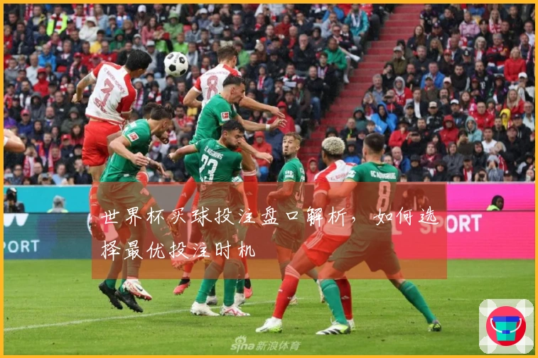 世界杯买球投注盘口解析，如何选择最优投注时机