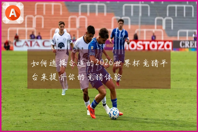 如何选择合适的2026世界杯竞猜平台来提升你的竞猜体验