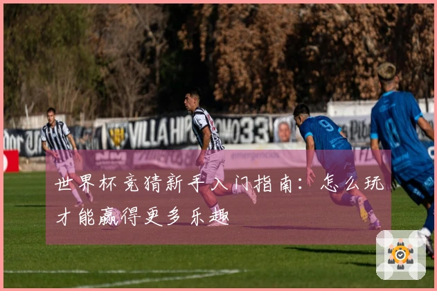 世界杯竞猜新手入门指南：怎么玩才能赢得更多乐趣