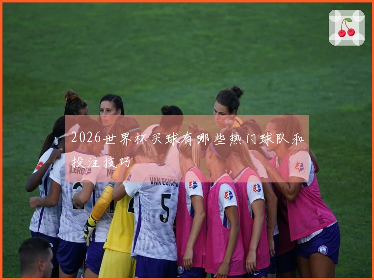 2026世界杯买球有哪些热门球队和投注技巧