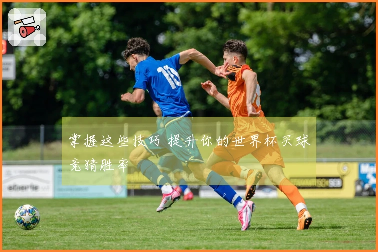 掌握这些技巧 提升你的世界杯买球竞猜胜率