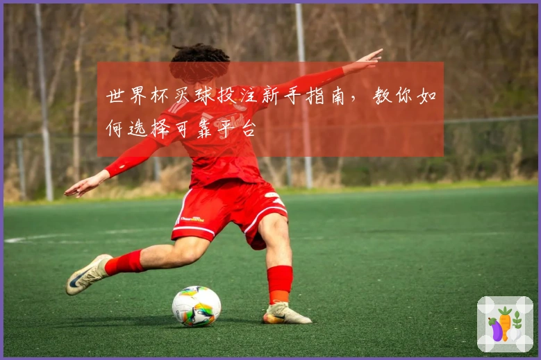世界杯买球投注新手指南，教你如何选择可靠平台