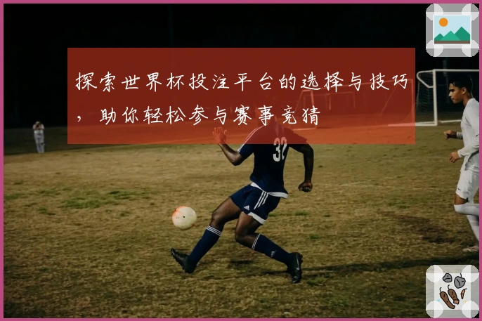 探索世界杯投注平台的选择与技巧，助你轻松参与赛事竞猜
