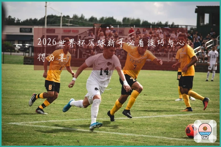 2026世界杯买球新手必看技巧与心得分享