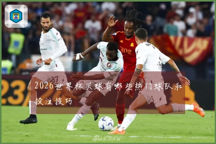 2026世界杯买球有哪些热门球队和投注技巧