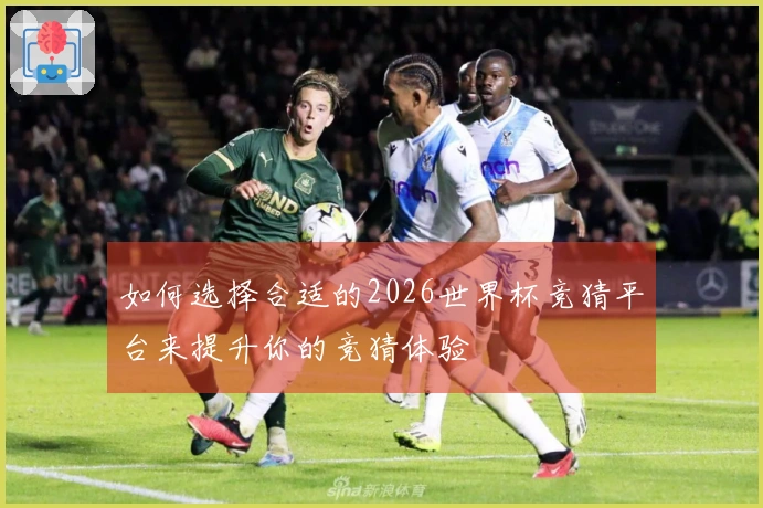如何选择合适的2026世界杯竞猜平台来提升你的竞猜体验