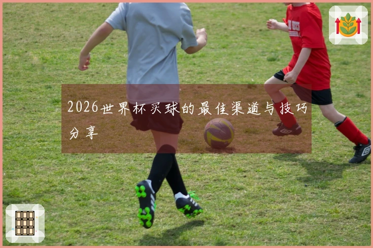 2026世界杯买球的最佳渠道与技巧分享