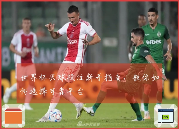世界杯买球投注新手指南，教你如何选择可靠平台