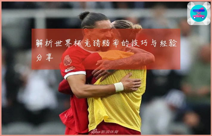 解析世界杯竞猜赔率的技巧与经验分享