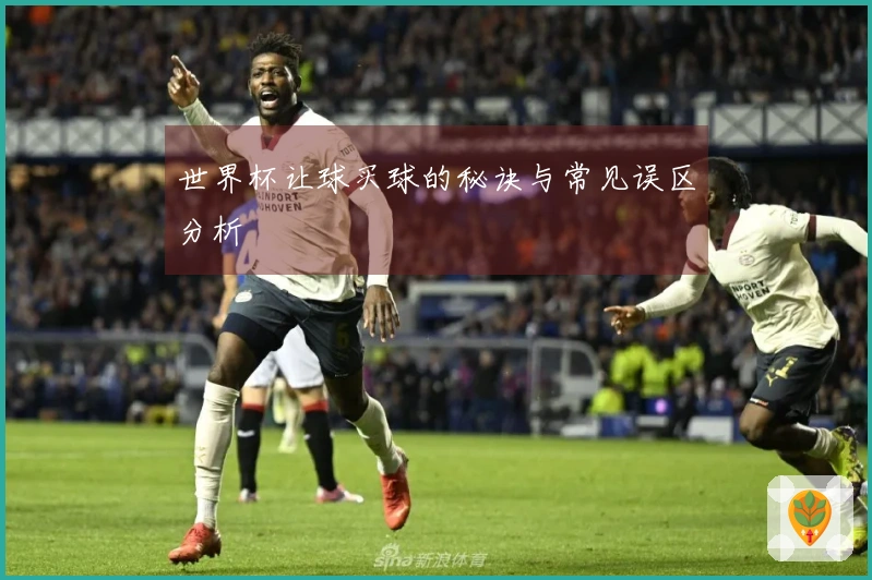 世界杯让球买球的秘诀与常见误区分析