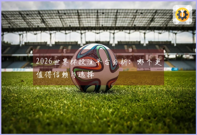 2026世界杯投注平台分析：哪个更值得信赖与选择