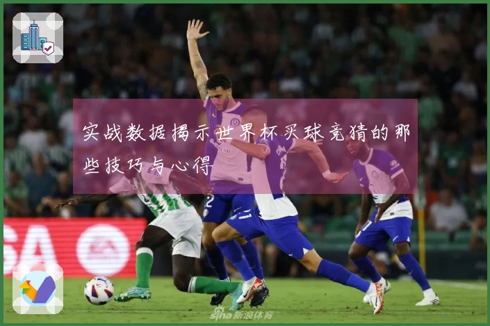 实战数据揭示世界杯买球竞猜的那些技巧与心得