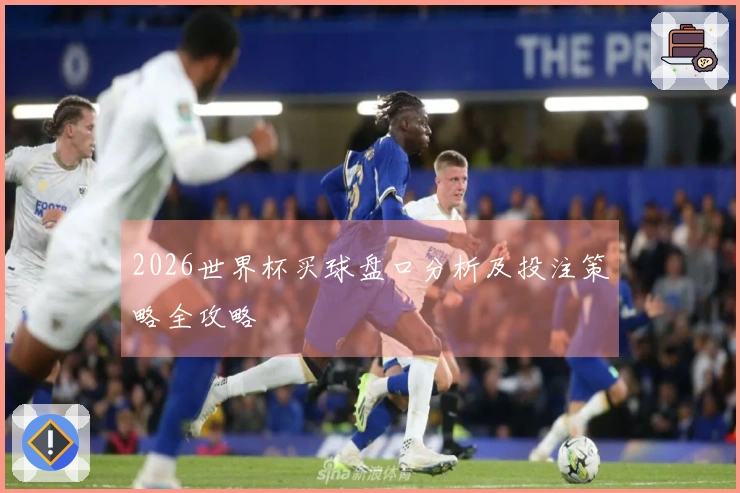 2026世界杯买球盘口分析及投注策略全攻略