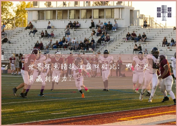 世界杯竞猜投注盘口对比：哪个更具赢利潜力？