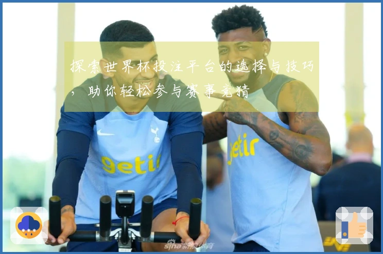 探索世界杯投注平台的选择与技巧，助你轻松参与赛事竞猜