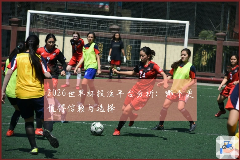 2026世界杯投注平台分析：哪个更值得信赖与选择