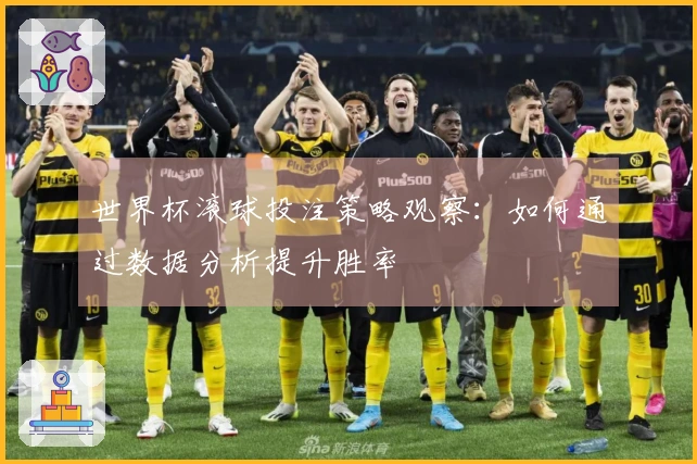 世界杯滚球投注策略观察：如何通过数据分析提升胜率