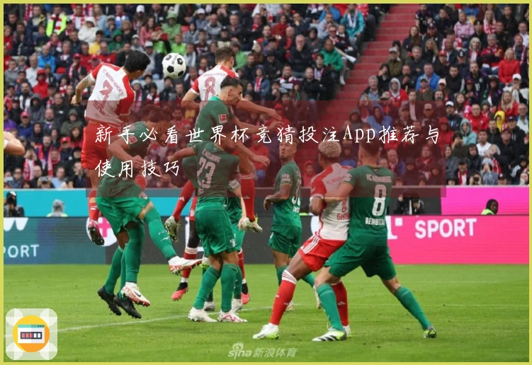 新手必看世界杯竞猜投注App推荐与使用技巧